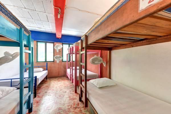 Hostel Playa プレヤデルカーメン 部屋 写真